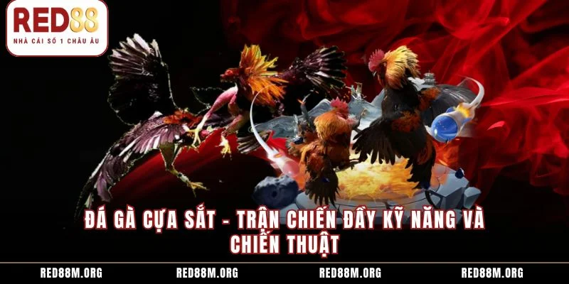 Đá Gà Cựa Sắt